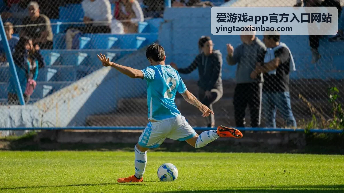 爱游戏app官方入口网站说明帮助中心票务入场须知